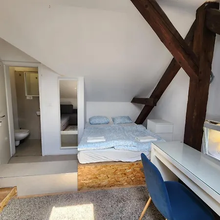 Bella Veselova * Любляна